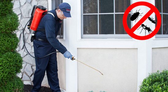 Yeniçamlık Böcek ve Haşere İlaçlama böcek ilaçlama ve haşere kontrolü — ilaclama-tr.com